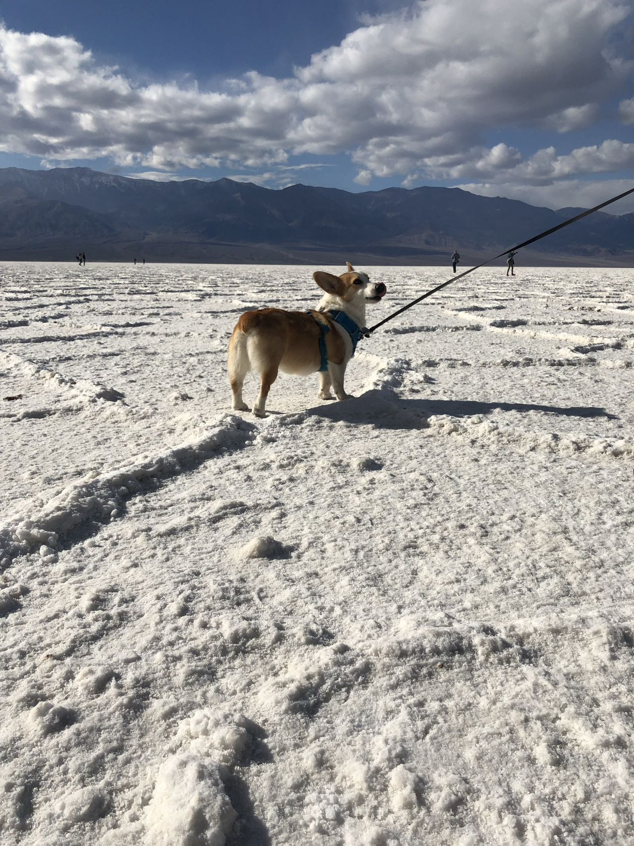 Cody visiting Badwater Basin in Death Valley National Park.