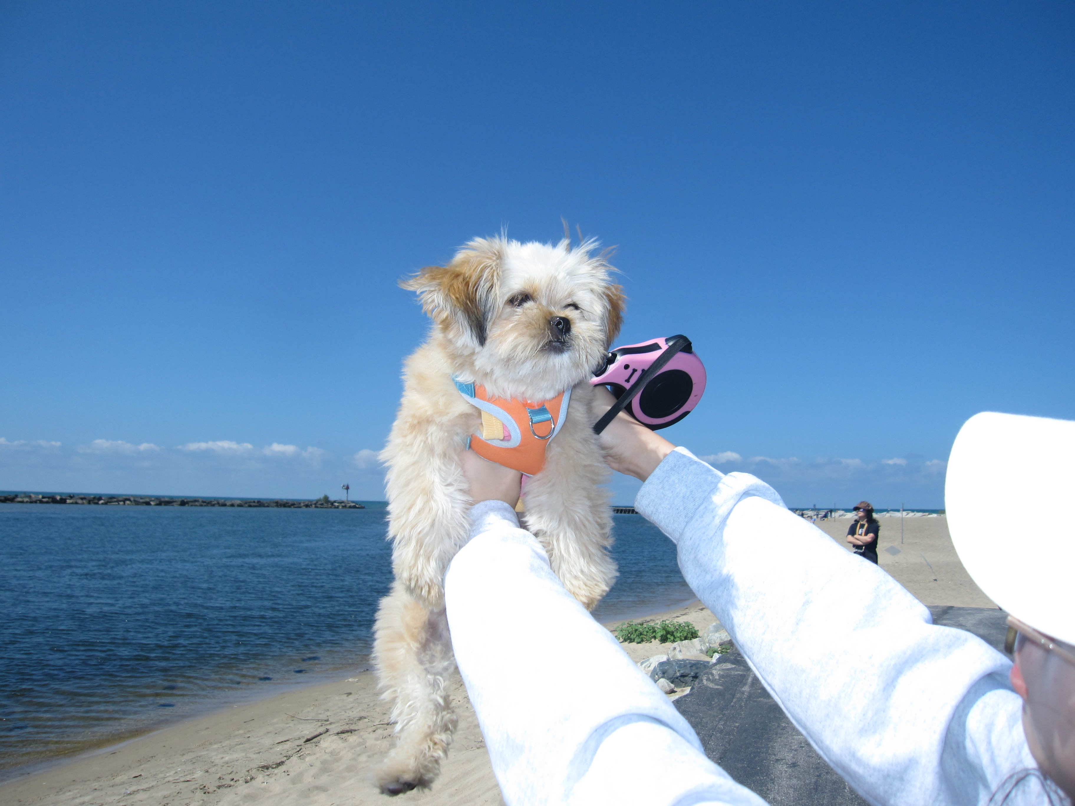 Pixie by the sea.