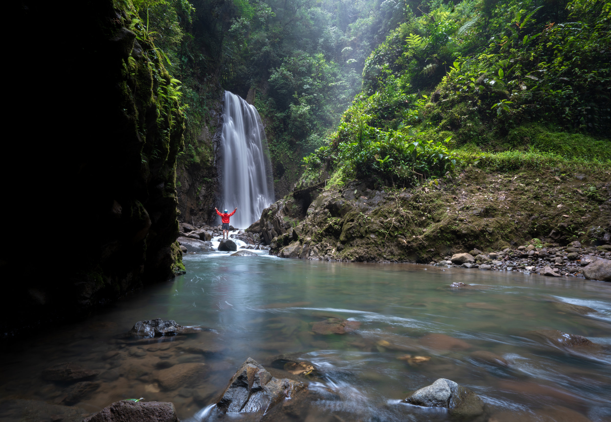 An image of a bridge hanging above the cloud forest canopy in Monteverde.