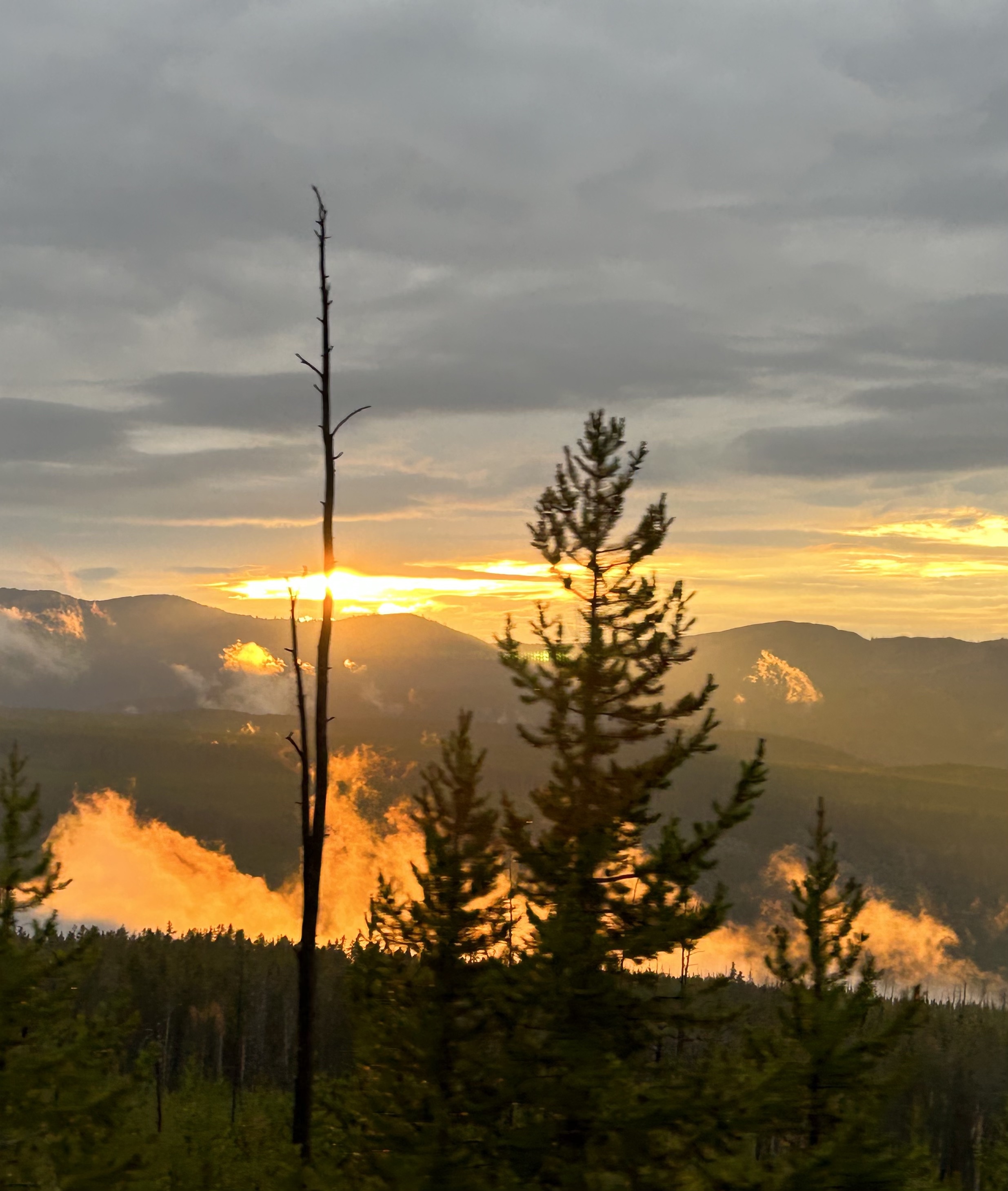 Sunset over mountains with some charred trees in the foreground